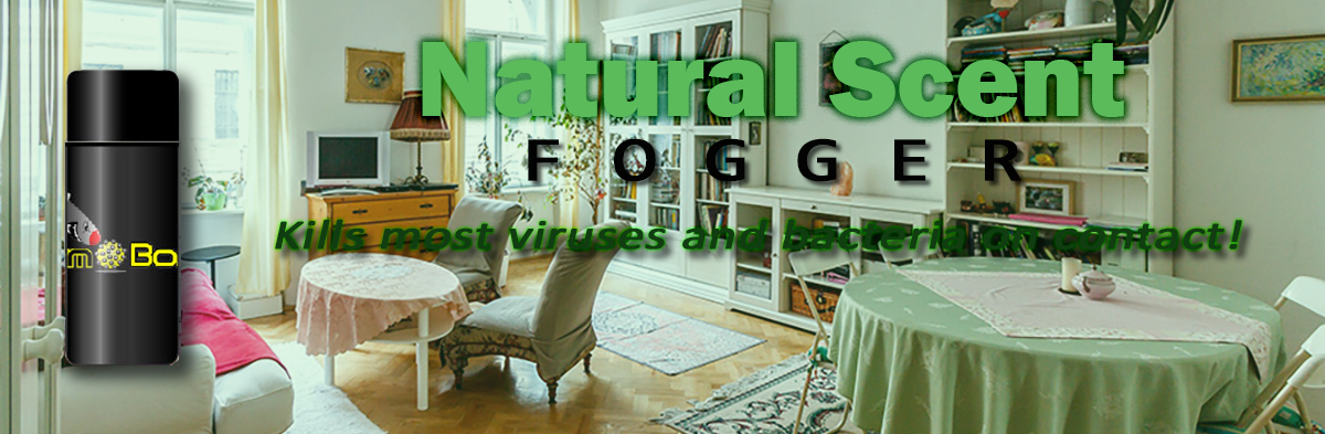 Germ Bomb Fogger Natural Scent